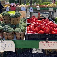 Lewisburg Farmers Market & Antique Shopping 2023